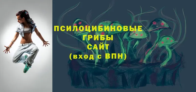 нарко площадка наркотические препараты  Ахтубинск  Псилоцибиновые грибы мицелий 